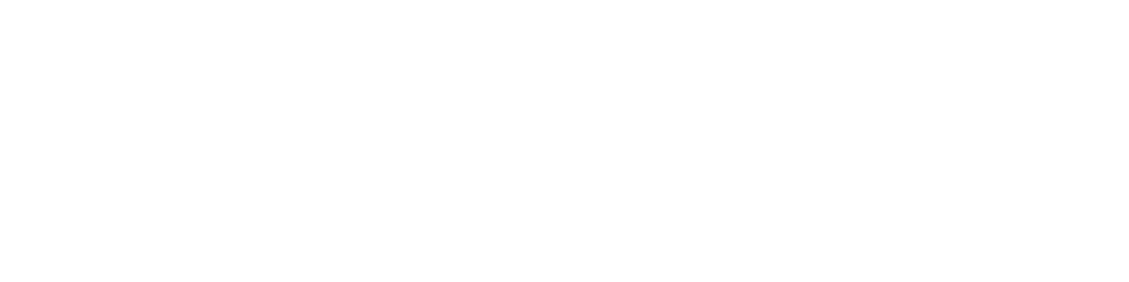 Meridional Seguros